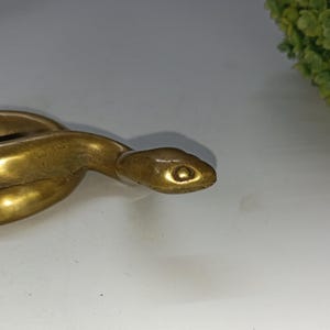May include: A brass snake figurine with a detailed, textured surface. The snake is coiled, with its head in the foreground, showcasing a detailed eye. The figurine has a polished, golden finish, and is set against a white background.