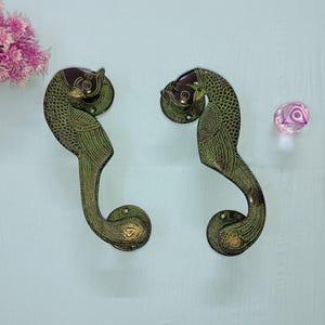 Brass Parrot Door Pull Set: Bird Design Office Door Handles