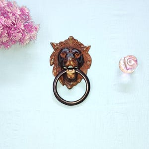 Brass Lion Head Door Knocker: Black Lion Face Drawer Knob