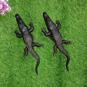 Crocodile Round Base Handle Door Hardware | Brass Saltwater Alligator Themed Office Door Pull Decor