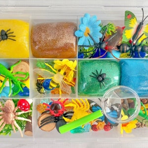 Bugs play Dough kit, Boys playdough set, gift, insect kit, sensory kit, toddler present, Party favors toy spider birthday gift boy craft