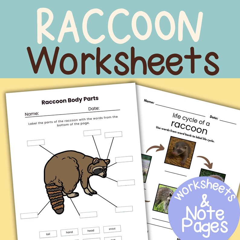 Raccoon Nature Study: Homeschool Worksheets, Activities (PDF Download ...