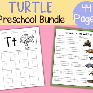 Paquete de actividades preescolares de Turtle: Trazado de letras, matemáticas, ciencias (Descargar PDF)