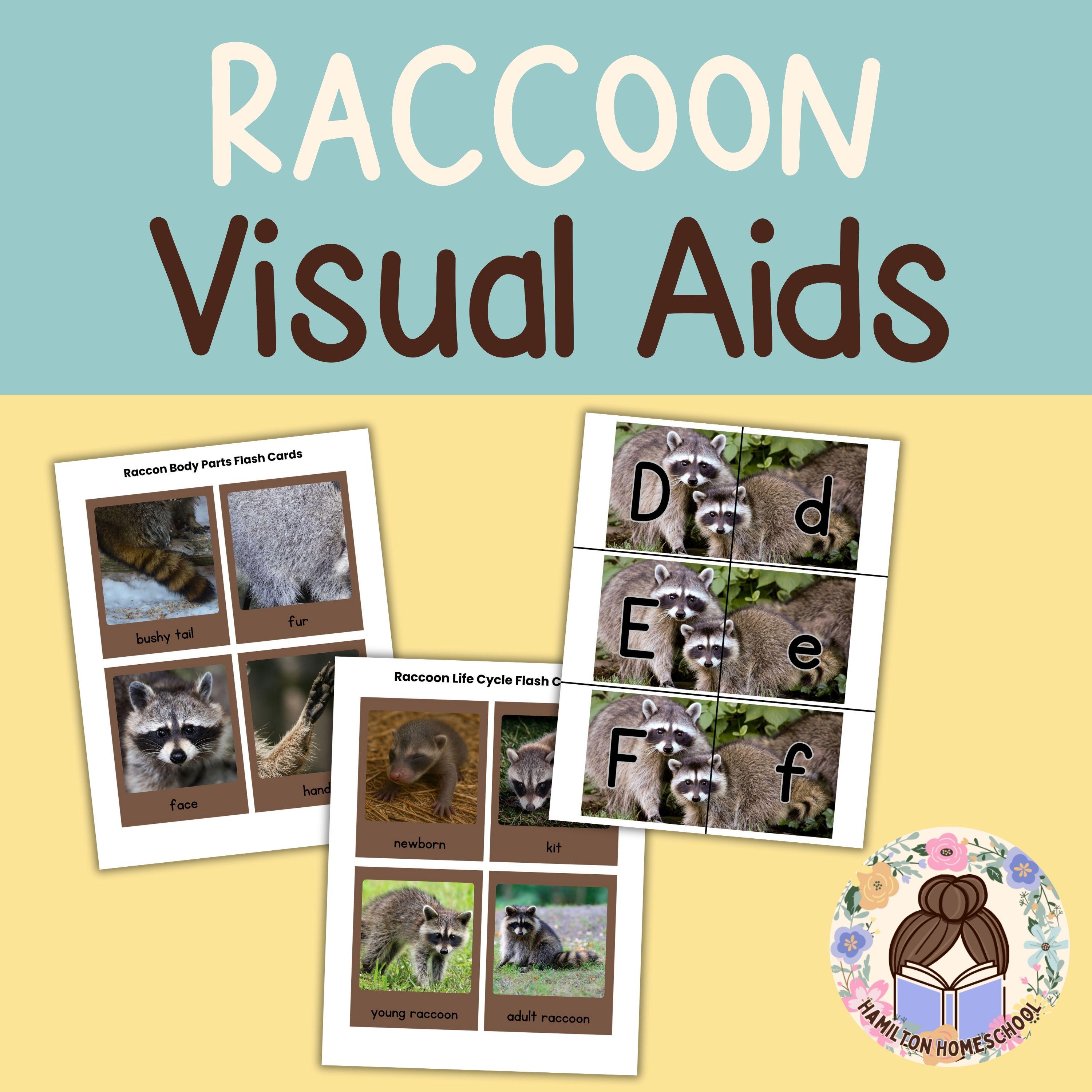 Raccoon Script Raccoon Nature Study: Homeschool Worksheets, Activities (PDF Download ...