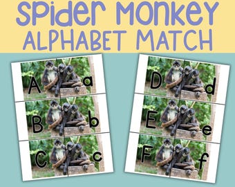Spider Monkey Alphabet Matching Game: ABC Learning Cards Montessori