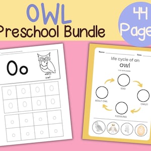 Paquete de actividades preescolares de búhos: currículo de educación en casa, hojas de trabajo en PDF, 44 páginas