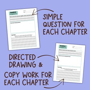 May include: Two white worksheets with the text "Seabird Chapter 14" and "Seabird Chapter 10" are shown. The worksheets have lines for writing and areas for drawing. The text "SIMPLE QUESTION FOR EACH CHAPTER" and "DIRECTED DRAWING & COPY WORK FOR EACH CHAPTER" are also visible.
