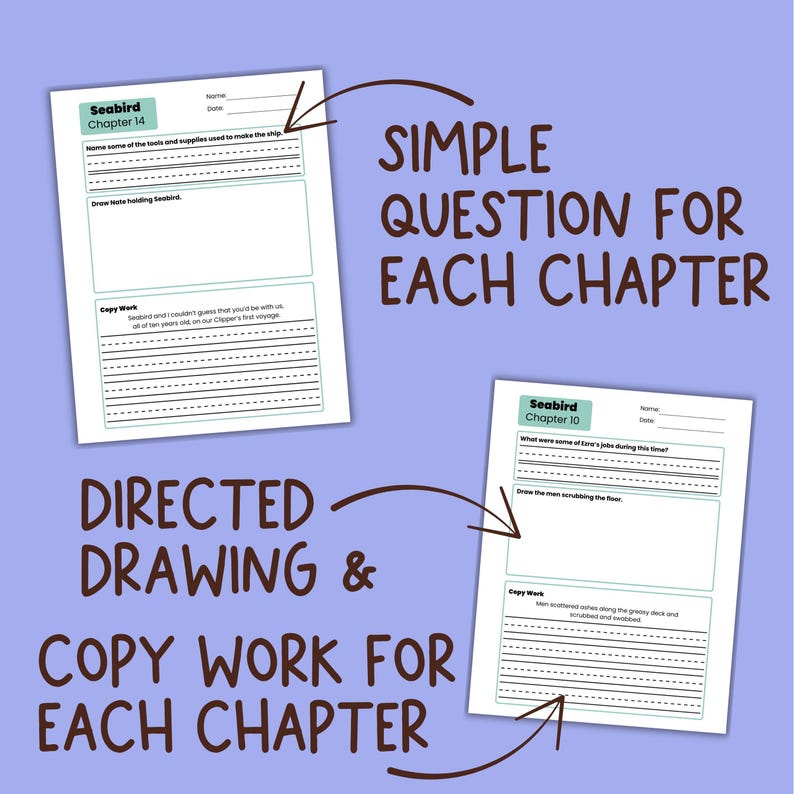 May include: Two white worksheets with the text "Seabird Chapter 14" and "Seabird Chapter 10" are shown. The worksheets have lines for writing and areas for drawing. The text "SIMPLE QUESTION FOR EACH CHAPTER" and "DIRECTED DRAWING & COPY WORK FOR EACH CHAPTER" are also visible.
