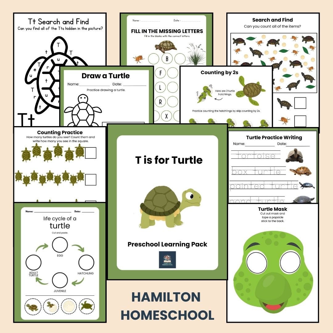 Turtle Preschool Activity Sheets Bundle Letter T Kindergarten Reptile ...
