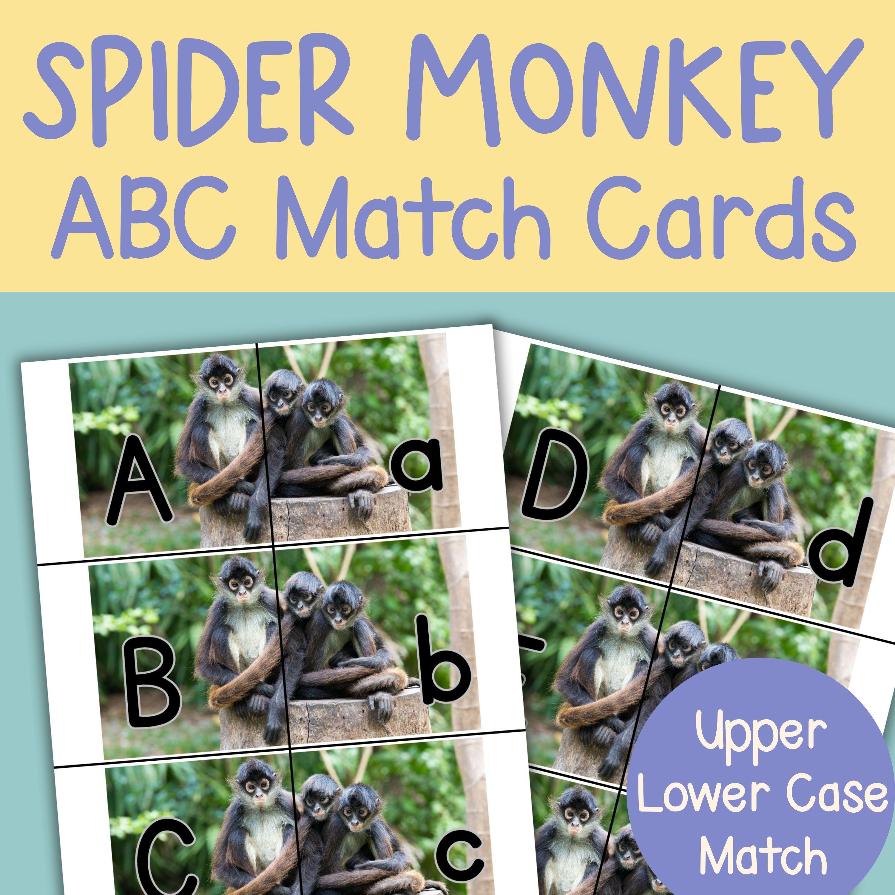 Spider Monkey Alphabet Matching Game: ABC Learning Cards Montessori - Etsy