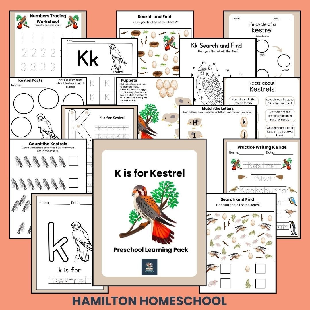 K Preschool Activity Sheets K is for Kestrel Sparrow Hawk Falcon ...