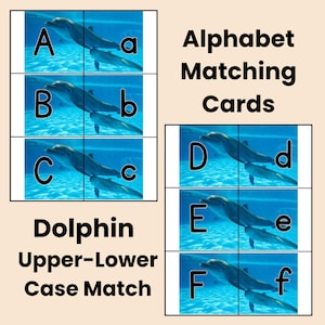 Jogo de correspondência do alfabeto de golfinhos, cartas com letras maiúsculas e minúsculas, atividade de golfinhos nariz-de-garrafa, prática de reconhecimento de letras temáticas, lição de memória