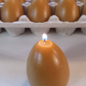 May include: A single, lit, golden brown beeswax candle shaped like an egg. The candle is sitting on a white surface. The candle is surrounded by a carton of unlit, golden brown beeswax candles shaped like eggs.