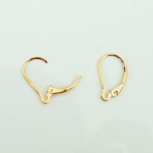 May include: Two gold-toned earring hooks, one with a closed loop and the other with an open loop.