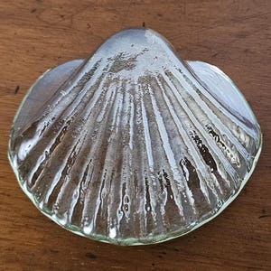 May include: A clear glass seashell-shaped dish. The dish has a textured surface with radiating lines, resembling the natural patterns of a seashell. The edges are slightly rounded, and the glass has a reflective quality.