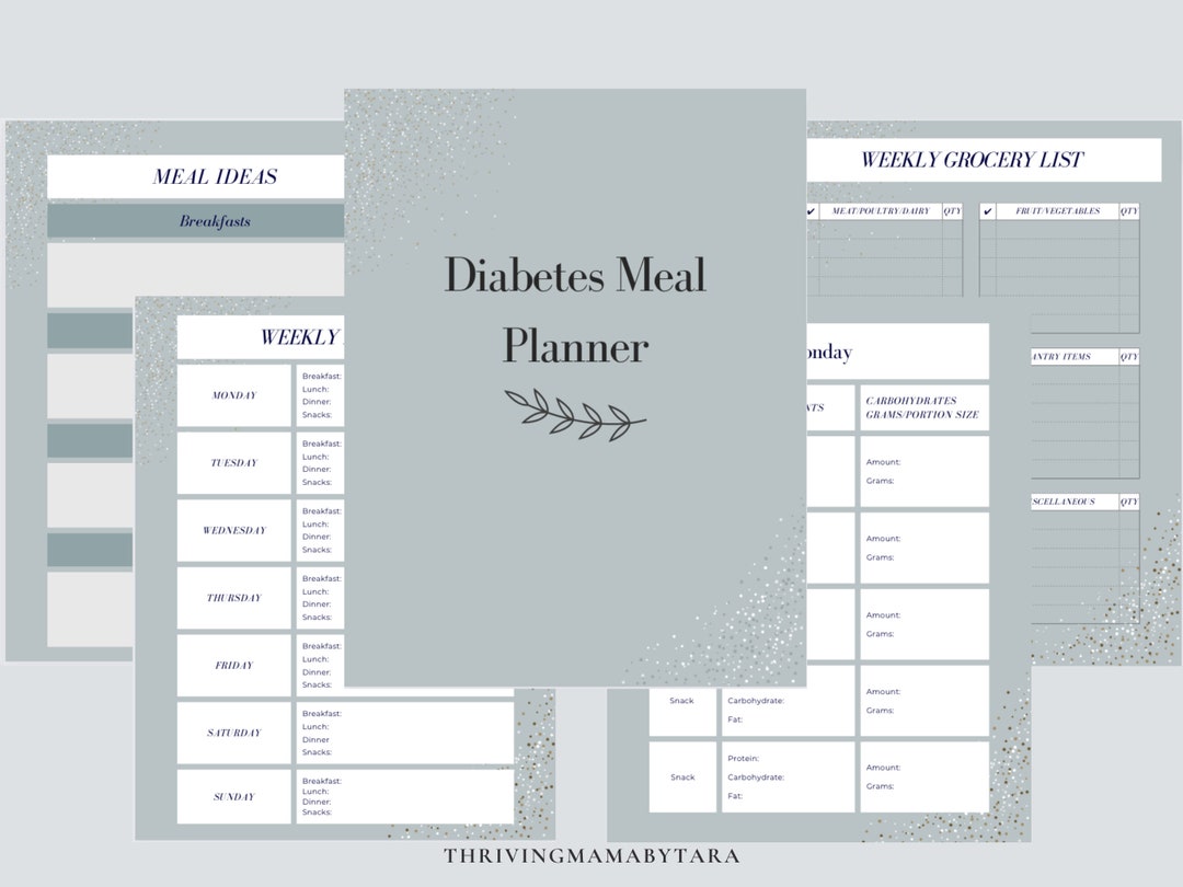 Diabetes Meal Planner - Etsy
