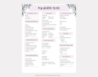 Editable Birth Plan Template: CanvaCustomizable, Printable