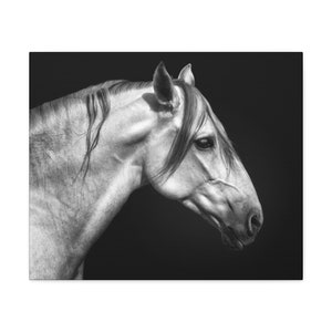 Horse Side Profile Canvas Black and White Canvas Gallery Wrap Wall Art Animal Art Majestic Horse Modern Art