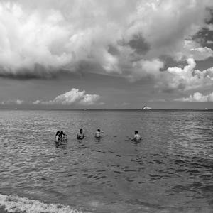 Miami Beach 2024 Archive - Canvas Gallery Wraps Black and White Art Nature Art Aesthetic Art