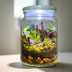 MTE Terra: Live Moss Terrarium, Terrarium Kit, DIY Terrarium, Educational Gift