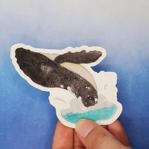 Blue Whale Sticker - Charity Sticker Decal for Water Bottles, Cars, Laptops, Journals, Kindle, & Gifts