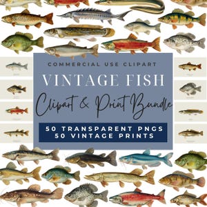 May include: A collection of vintage fish illustrations in various colors and shapes. The image includes a variety of fish species, with a central text box that reads "VINTAGE FISH Clipart & Print Bundle". The bundle includes 50 transparent PNGs and 50 vintage prints.