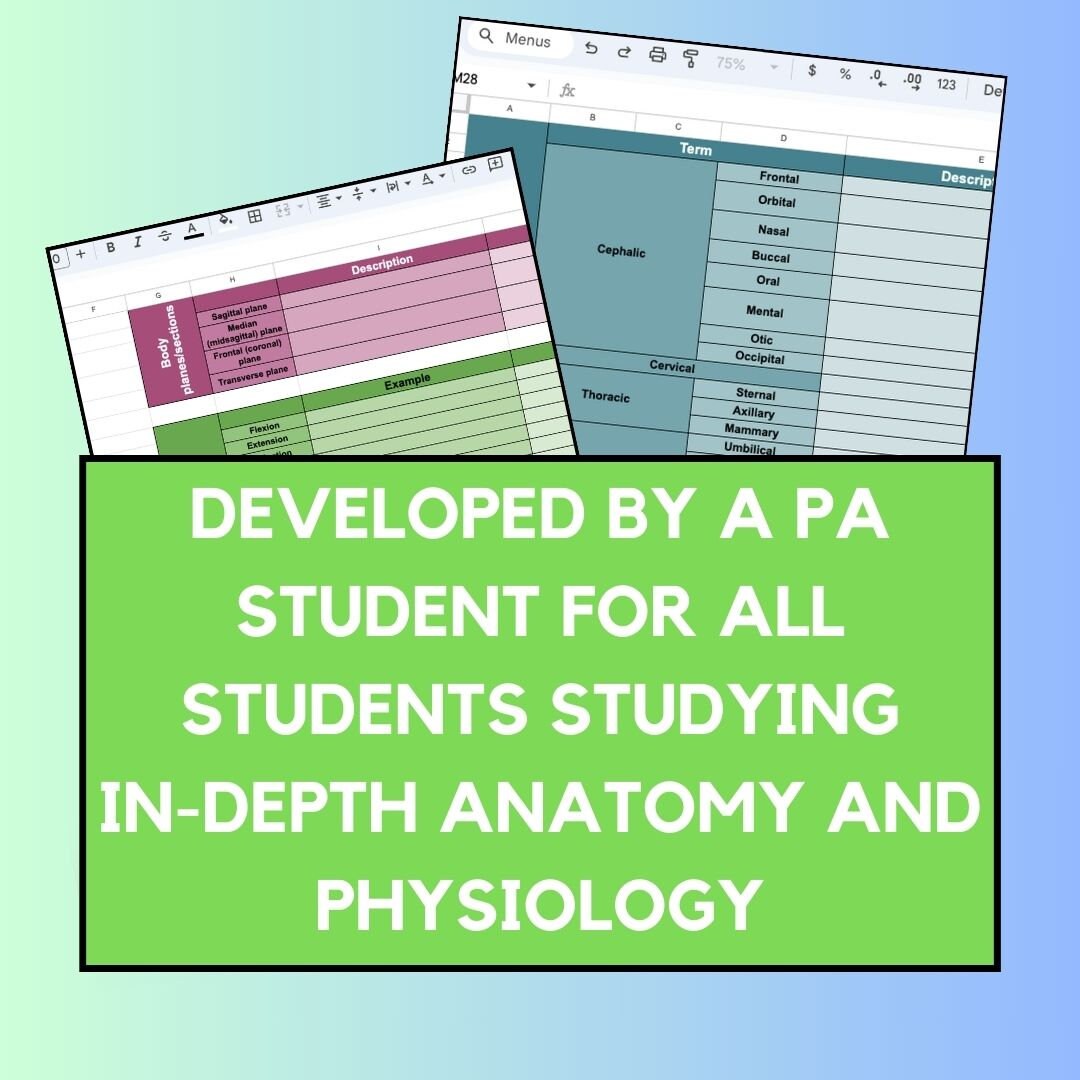 Anatomy visual data 3