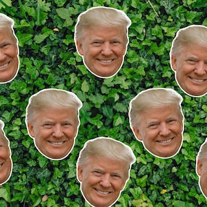 Confeti de Donald Trump para las elecciones presidenciales y el debate, con recortes de caras personalizados, listos para enviar el Día de la Independencia.