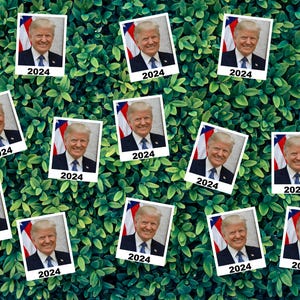 Confetti Donald Trump 2024 Presidential Election, Debate Party with custom face cutouts ready to ship 100 days 4th July Patriotic