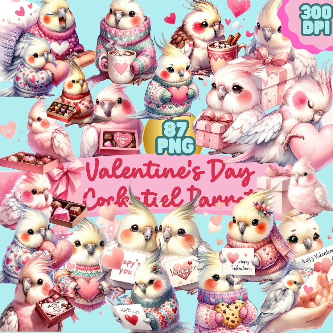 Valentine's Cockatiel Parrot Watercolor Parrot Cute PNG Bird Cute ...