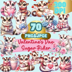 Cute flying squirrel, Sugar Glider Bundle Sublimation 70PNG\70JPG, Sugar Glider, squirrel Valentine&#39;s Day PNG&JPG File Digital Download