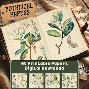Kit de diário de ervas botânicas, boticário, aquarela vintage, colagem de plantas e ervas, papel digital para scrapbooking - Papéis de recortes de botânica