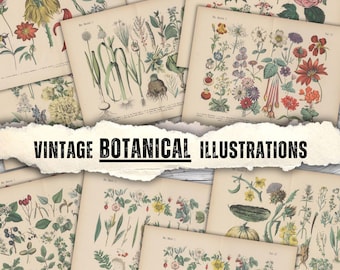 Botaniska örter skräpjournal kit vintage akvarell växt örtcollage ark digitalt papper scrapbooking botanik efemera apotekssida