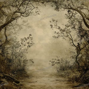 May include: A misty forest path with tall trees on either side. The path leads into the distance, disappearing into the fog. The trees are bare, with only a few leaves remaining. The ground is covered in fallen leaves and twigs. The overall tone of the image is dark and mysterious.