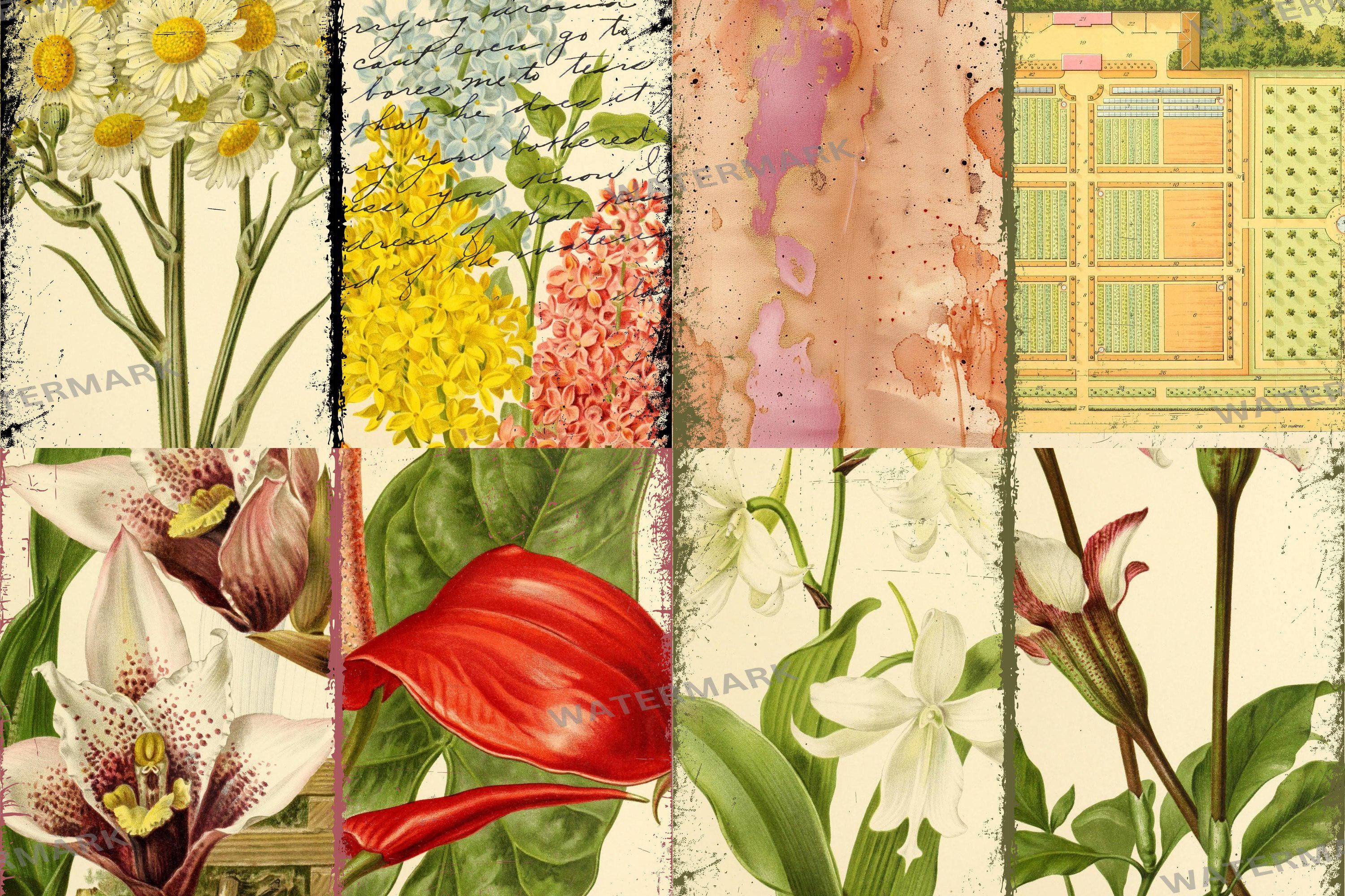 Vintage Botanical Junk Journal Pages | Antique Floral & Fruit Ephemera ...