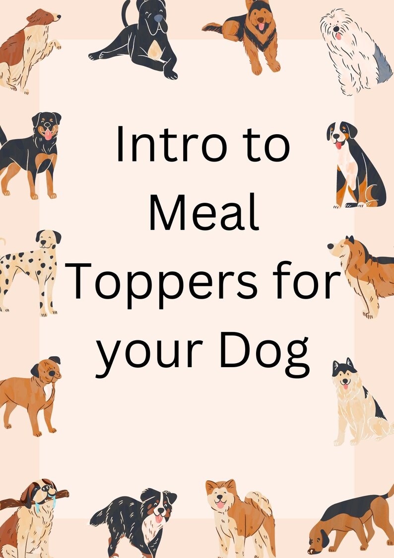 Intro to Meal Toppers for Your Dog Etsy