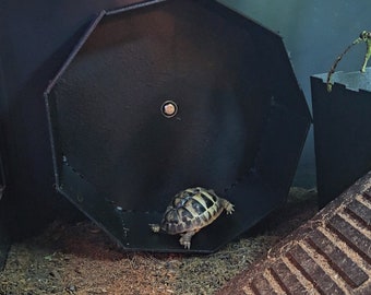 Ergonomic Tortoise/Turtle Exercise Wheel