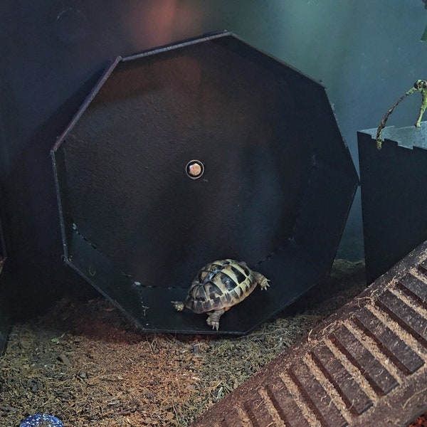 Ergonomic Tortoise/Turtle Exercise Wheel