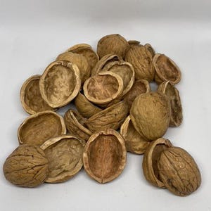 May include: A pile of walnut shells, some open and some closed, in various shades of brown. The shells are arranged in a random pattern on a white background.
