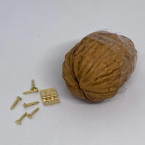 Op de afbeelding: Een bruine walnootschelp met een transparante plasticfolie eromheen. Er zijn zes gouden punaises en een gouden scharnier op een wit oppervlak.