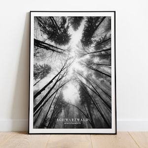 Schwarzwald Wandbild, Wald Wanddekor, Wald Poster, Wald, Schwarzwald, Nebelwald, Naturfotografie, Waldnebel, Nebelkunst, Landschaft