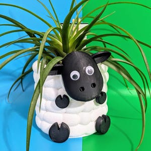 Adorable 3D Printed Sheep Planter - Cute Animal Plant Pot for Succulents & Small Plants choice of 3 to brighten up your indoor flowers.