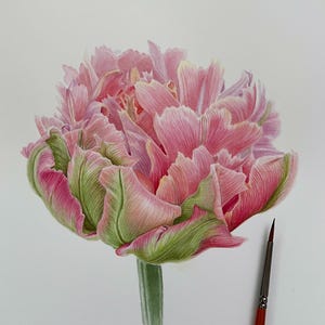 Aquarelle unique de tulipes roses, oeuvre d'art florale peinte à la main d'Ukraine, cadeau botanique, sans cadre