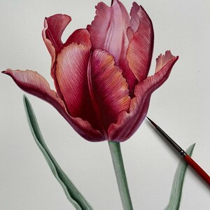 Dipinto ad acquerello originale di tulipani, arte murale floreale, fiore unico dipinto a mano