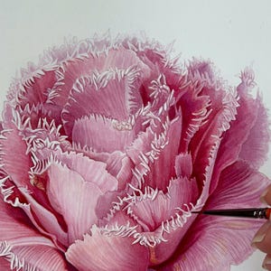 Original rosa Tulpe Aquarell Malerei, Blumenkunst, Blumenbild von Ukrainischer Künstler, Botanische Dekoration, ohne Rahmen