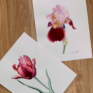 Set von 2 Original Aquarell Blumen Gemälde: Iris und Tulpe von Ukrainischen Künstler