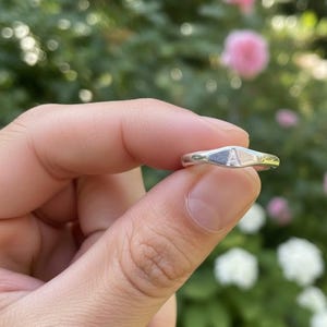 Könnte beinhalten: Ein silberner Siegelring mit dem eingravierten Buchstaben "A" auf der Oberfläche. Der Ring wird in einer Hand gehalten, vor einem verschwommenen Hintergrund aus grünem Laub und rosa Blüten. Ein schlichtes, elegantes Schmuckstück.