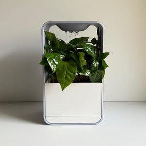 May include: A gray and white indoor plant growing system with a green plant inside. The system has a water reservoir and a light source.