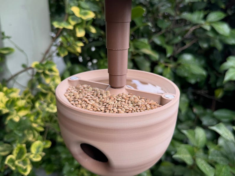 May include: A hanging bird feeder with a brown stem and a round, light brown bowl. The bowl is filled with small, tan seeds. The feeder has a small, oval opening on the side. The background is blurred green foliage.