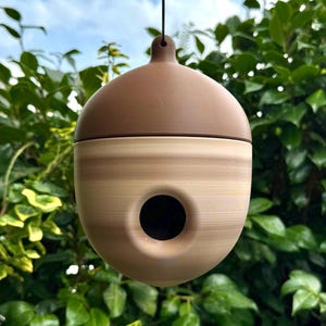 May include: An acorn-shaped birdhouse in shades of brown and tan, with a circular entrance. It hangs from a black string, set against green foliage and a blue sky. The top is a darker brown than the body.